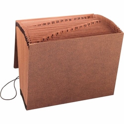 Enterprise Technology Solutions&nbsp;Business Source  Accordion File,w/Flap,1-31,31 Pocket,Letter,12
