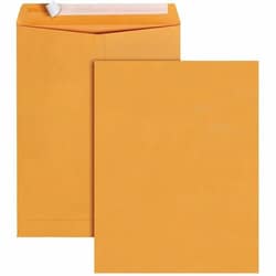 Enterprise Technology Solutions&nbsp;Business Source  Envelopes,Catalog,Peel&Stick,10