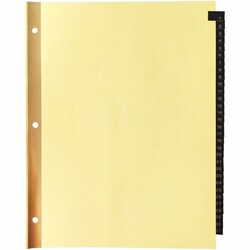 Enterprise Technology Solutions&nbsp;Business Source  Tab Indexes,Printed 1-31,Black Lthr,8-1/2