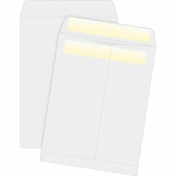 Enterprise Technology Solutions&nbsp;Business Source  Catalog Envelopes,Press/Seal,28lb,9