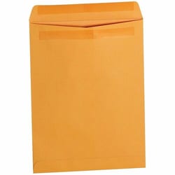 Enterprise Technology Solutions&nbsp;Business Source  Envelope,Catalog,Self-Seal,Dual-Adhesive,Moisture-Free,#28,9