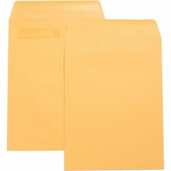 Enterprise Technology Solutions&nbsp;Business Source  Press/Seal Catalog Envelopes,Plain,9
