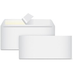 Enterprise Technology Solutions&nbsp;Business Source  Envelopes, Redi-Strip, 3-5/8