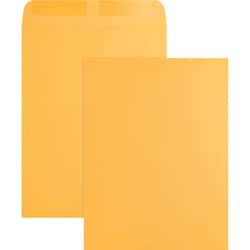 Enterprise Technology Solutions&nbsp;Business Source  Catalog Envelopes, Plain, 9