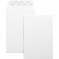 Enterprise Technology Solutions&nbsp;Business Source  Catalog Envelopes,Self Seal,Plain,6