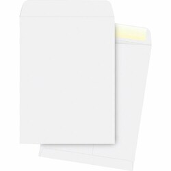 Enterprise Technology Solutions&nbsp;Business Source  Catalog Envelopes, Plain, 28Lb., 10