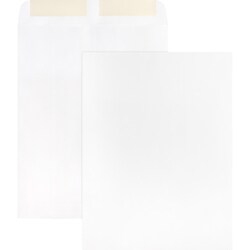 Enterprise Technology Solutions&nbsp;Business Source  Catalog Envelopes, Plain, 28Lb., 9