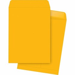 Enterprise Technology Solutions&nbsp;Business Source  Catalog Envelopes, Plain, 10