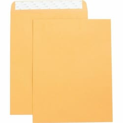 Enterprise Technology Solutions&nbsp;Business Source  Catalog Envelopes,Self Seal,Plain,10