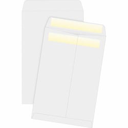 Enterprise Technology Solutions&nbsp;Business Source  Press/Seal Catalog Envelopes, 28lb, 6