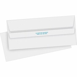 Enterprise Technology Solutions&nbsp;Business Source  Self-Seal Envelopes, No.10, 24 lb, 4-1/8