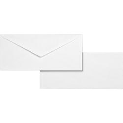 Enterprise Technology Solutions&nbsp;Business Source  Business Envelopes, No.10, 24lb., Gummed, 500/BX, WE Wove