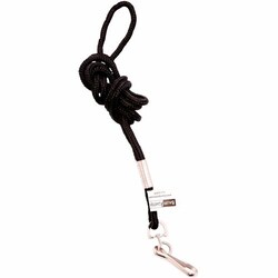 Enterprise Technology Solutions&nbsp;Baumgartens  Standard Lanyard, With Hook, 36