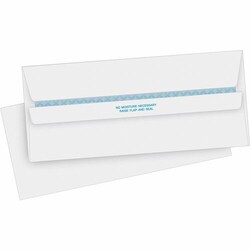Enterprise Technology Solutions&nbsp;Business Source  Self Seal Envelopes, Tint, No.10, 4-1/2