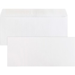 Enterprise Technology Solutions&nbsp;Business Source  Peel/Seal Envelopes,Plain,No. 10, 4-1/2
