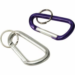 Enterprise Technology Solutions&nbsp;Baumgartens  Key Ring, Large, Assorted
