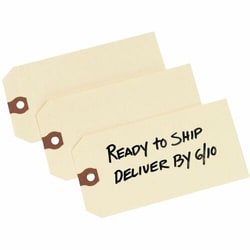 Enterprise Technology Solutions&nbsp;Avery  Shipping Tags, Unstrung, 5-1/4