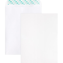 Enterprise Technology Solutions&nbsp;Business Source  Catalog Envelopes,Self Seal, 28lb, 9