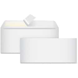 Enterprise Technology Solutions&nbsp;Business Source  Peel-To-Seal Envelopes, No. 10, 100/BX, White
