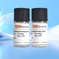 BIOHIPPO&nbsp;M-MLV, 1 mg