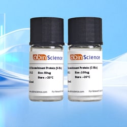 BIOHIPPO&nbsp;Benzonase Nuclease, 1 mg