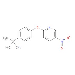 Aobchem 2-(4-(Tert-butyl)phenoxy)-5-nitropyridine | ≥95% | CAS 218456-68-9