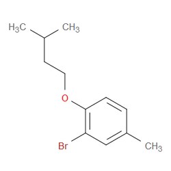 Aobchem&nbsp;2-Bromo-1-(isopentyloxy)-4-methylbenzene | ≥97% | CAS 1036449-91-8 | C12H17BrO | 1g