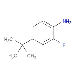 Aobchem&nbsp;4-(Tert-butyl)-2-fluoroaniline | ≥95% | CAS 129373-04-2 | C10H14FN | 250mg