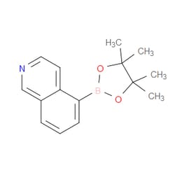 Aobchem&nbsp;5-(4 4 5 5-Tetramethyl-1 3 2-dioxaborolan-2-yl)isoquinoline | ≥97% | CAS 1338914-81-0 | C15H18BNO2 | 1g