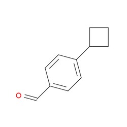Aobchem&nbsp;4-Cyclobutylbenzaldehyde | ≥97% | CAS 875306-94-8 | C11H12O | 250mg
