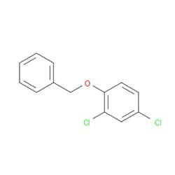 Aobchem&nbsp;2 4-Dichloro-1-(phenylmethoxy)benzene | ≥97% | CAS 19578-69-9 | C13H10Cl2O | 1g