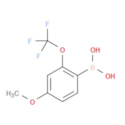 Aobchem&nbsp;4-Methoxy-2-(trifluoromethoxy)phenylboronic acid | ≥97% | CAS 1391918-92-5 | C8H8BF3O4 | 500mg