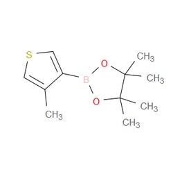 Aobchem&nbsp;4-Methylthiophene-3-boronic acid  pinacol ester | ≥95% | CAS 476620-20-9 | C11H17BO2S | 500mg