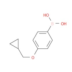 Aobchem&nbsp;4-(CYCLOPROPYLMETHOXY)PHENYLBORONIC ACID | ≥97% | CAS 411229-67-9 | C10H13BO3 | 250mg