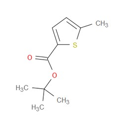 Aobchem&nbsp;Tert-butyl 5-methylthiophene-2-carboxylate | ≥95% | CAS 956502-03-7 | C10H14O2S | 500mg