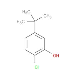 Aobchem&nbsp;5-(Tert-butyl)-2-chlorophenol | ≥95% | CAS 20942-69-2 | C10H13ClO | 250mg