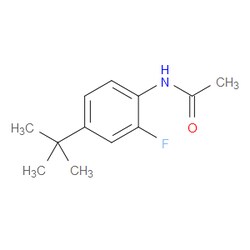 Aobchem&nbsp;N-(4-(tert-butyl)-2-fluorophenyl)acetamide | ≥97% | CAS 376646-00-3 | C12H16FNO | 500mg