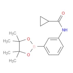 Aobchem&nbsp;N-[3-(4 4 5 5-Tetramethyl-1 3 2-dioxaborolan-2-yl)phenyl]cyclopropanecarboxamide | ≥97% | CAS 1031747-40-6 | C16H22BNO3 | 1g