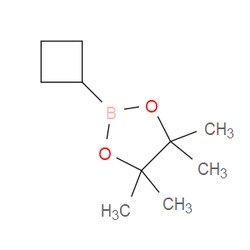 Aobchem&nbsp;2-Cyclobutyl-4 4 5 5-tetramethyl-1 3 2-dioxaborolane | ≥97% | CAS 1360914-08-4 | C10H19BO2 | 500mg