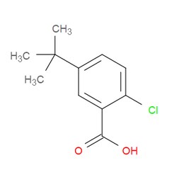 Aobchem&nbsp;5-(Tert-butyl)-2-chlorobenzoic acid | ≥95% | CAS 60772-72-7 | C11H13ClO2 | 250mg