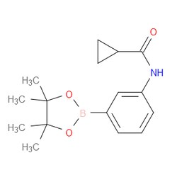 Aobchem&nbsp;N-[3-(4 4 5 5-Tetramethyl-1 3 2-dioxaborolan-2-yl)phenyl]cyclopropanecarboxamide | ≥97% | CAS 1031747-40-6 | C16H22BNO3 | 250mg