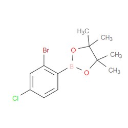Aobchem&nbsp;2-(2-Bromo-4-chlorophenyl)-4 4 5 5-tetramethyl-1 3 2-dioxaborolane | ≥97% | CAS 1256781-67-5 | C12H15BBrClO2 | 1g