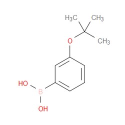 Aobchem&nbsp;3-Tert-butoxyphenylboronic acid | ≥95% | CAS 312931-06-9 | C10H15BO3 | 250mg