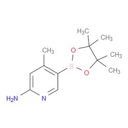 Aobchem&nbsp;4-Methyl-5-(4 4 5 5-tetramethyl-1 3 2-dioxaborolan-2-yl)pyridin-2-amine | ≥97% | CAS 1220219-94-2 | C12H19BN2O2 | 1g