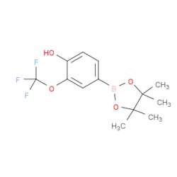 Aobchem&nbsp;4-(4 4 5 5-Tetramethyl-1 3 2-dioxaborolan-2-yl)-2-(trifluoromethoxy)phenol | ≥95% | CAS 1350989-48-8 | C13H16BF3O4 | 500mg