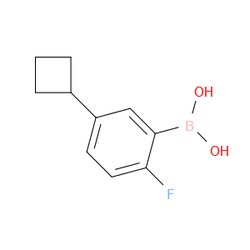 Aobchem&nbsp;(5-Cyclobutyl-2-fluorophenyl)boronic acid | ≥97% | CAS 2225170-43-2 | C10H12BFO2 | 500mg