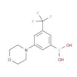 Aobchem&nbsp;(3-Morpholino-5-(trifluoromethyl)phenyl)boronic acid | ≥95% | CAS 1704069-70-4 | C11H13BF3NO3 | 250mg