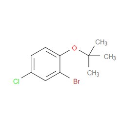 Aobchem&nbsp;2-Bromo-1-(tert-butoxy)-4-chlorobenzene | ≥95% | CAS 870614-09-8 | C10H12BrClO | 1g