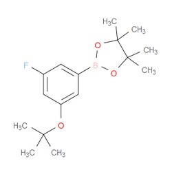 Aobchem&nbsp;2-(3-Tert-Butoxy-5-fluorophenyl)-4 4 5 5-tetramethyl-1 3 2-dioxaborolane | ≥97% | CAS 1628139-10-5 | C16H24BFO3 | 500mg