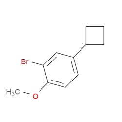 Aobchem&nbsp;2-Bromo-4-cyclobutyl-1-methoxybenzene | ≥97% | CAS 2643367-80-8 | C11H13BrO | 1g